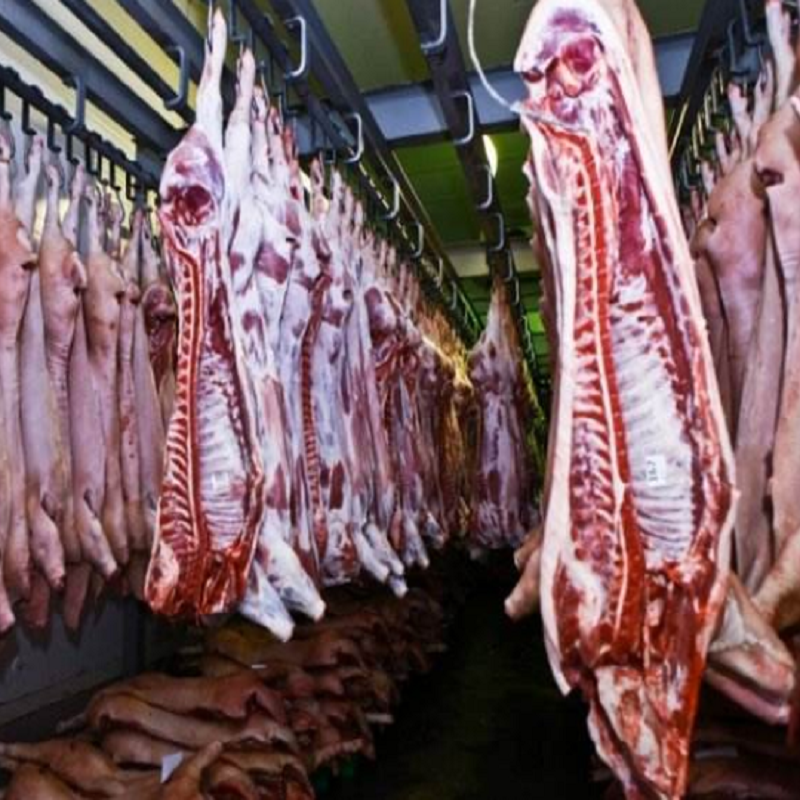 Pork Meal Production Line