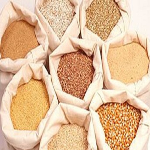 The role of fish meal in animal feeds